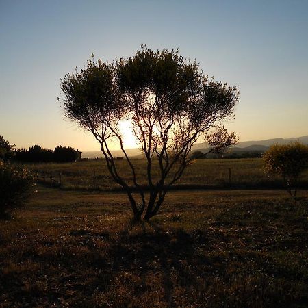 Agriturismo Il Grillo Parlante Pitigliano Bagian luar foto