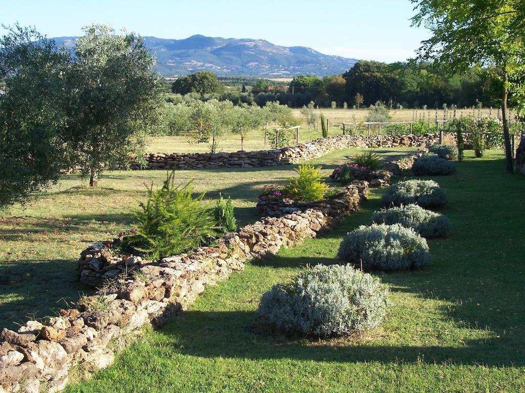 Agriturismo Il Grillo Parlante Pitigliano Bagian luar foto