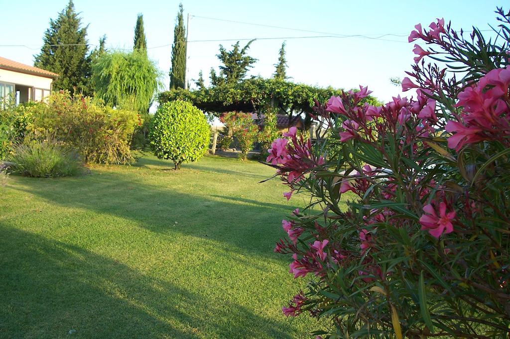 Agriturismo Il Grillo Parlante Pitigliano Bagian luar foto
