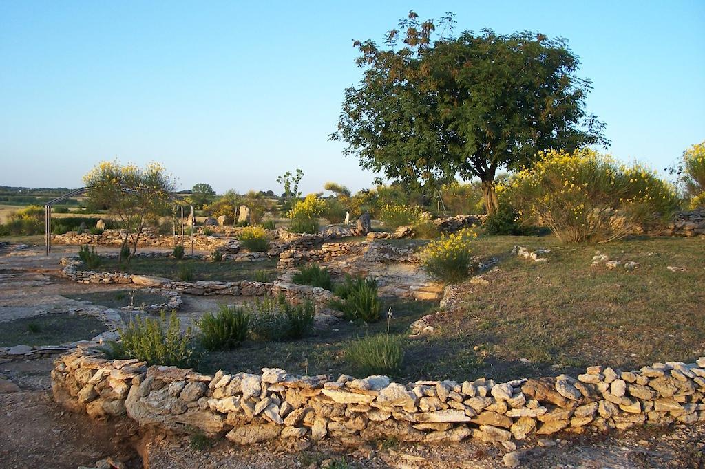 Agriturismo Il Grillo Parlante Pitigliano Bagian luar foto