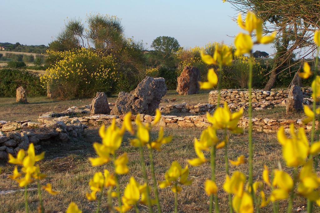 Agriturismo Il Grillo Parlante Pitigliano Bagian luar foto