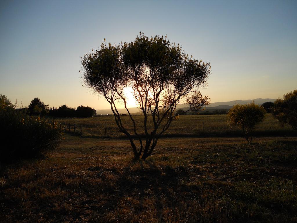 Agriturismo Il Grillo Parlante Pitigliano Bagian luar foto