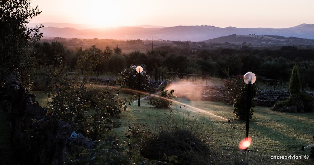 Agriturismo Il Grillo Parlante Pitigliano Bagian luar foto